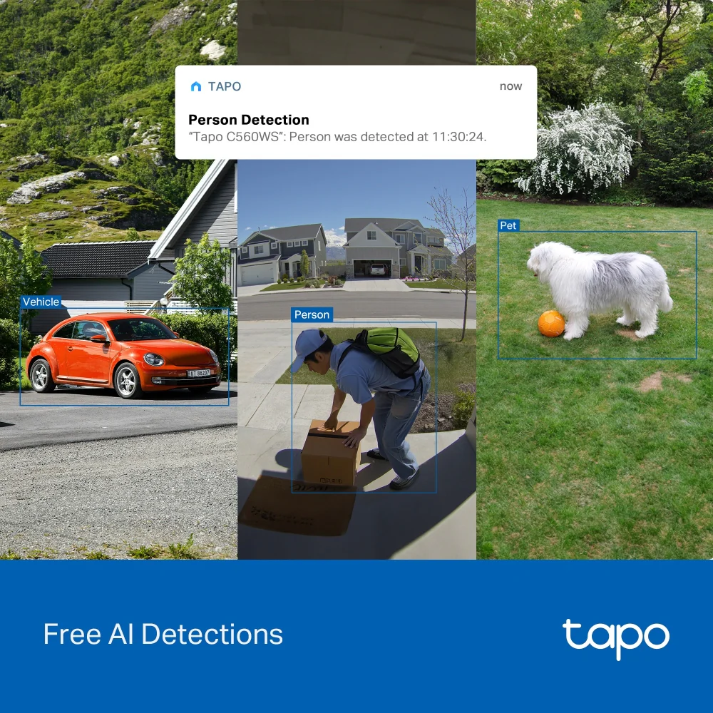 Tapo C560WS | Outdoor Pan/Tilt Security Wi-Fi Camera, 4K 8MP, AI Detection - Image 7