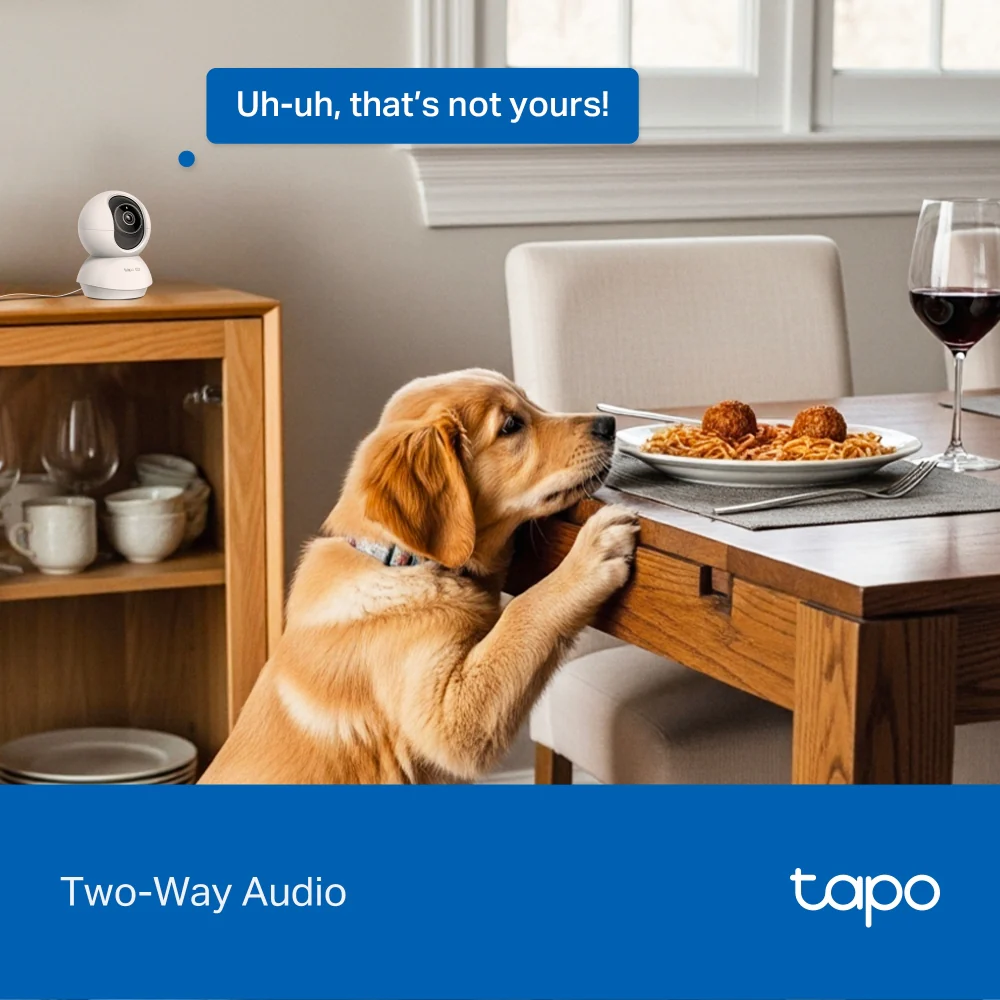 Tapo C250 | Pan/Tilt AI Home Security Wi-Fi Camera, 4K 8MP, AI Detection - Image 12